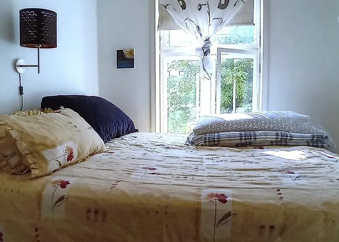 King Room Nearby